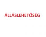 Két új csapattagot keres a ChipLand Számítástechnikai üzlete!